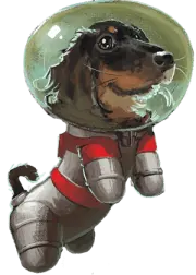 space dog 1